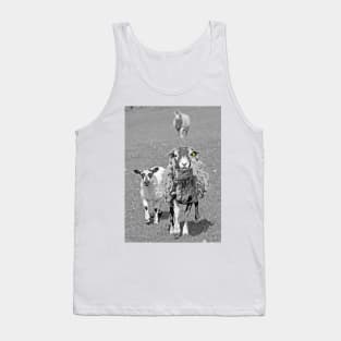 Sheep in Black & White ... Tank Top